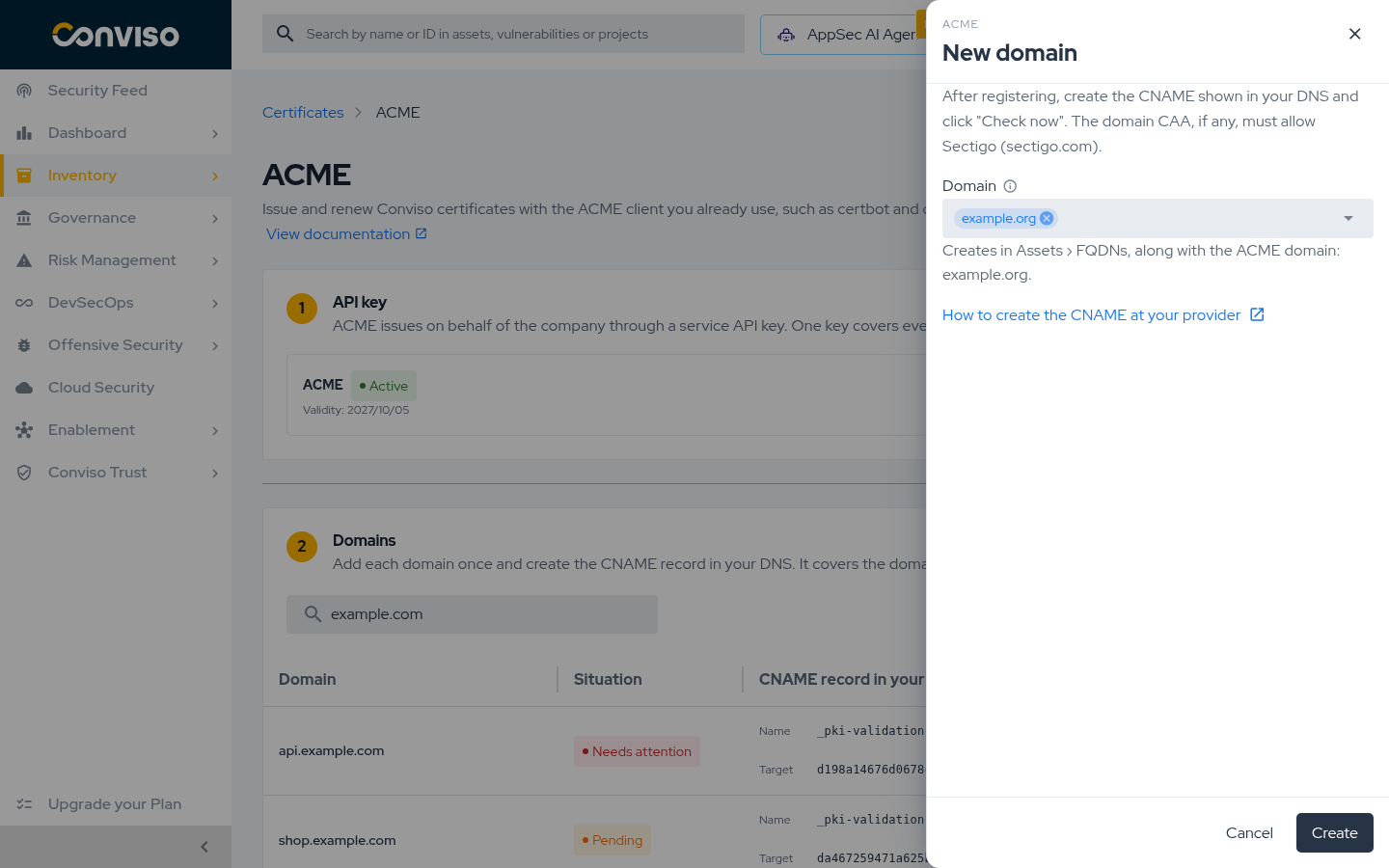 The New domain panel with a typed domain, which is also created in Assets as an FQDN. New domain panel