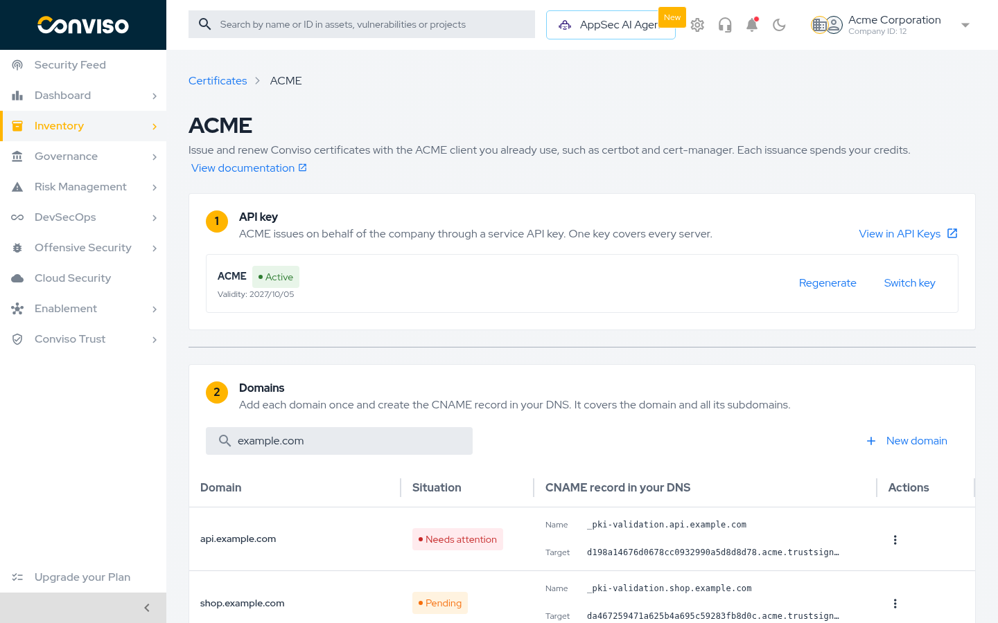 The ACME page with an active API key and the Domains section below it. ACME page